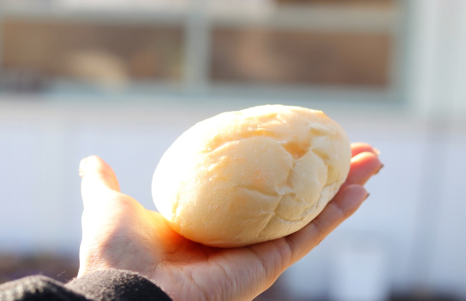 【熊本・玉名】『ますぱん』〜大人になって食べるメロンパンって特別だ…編〜